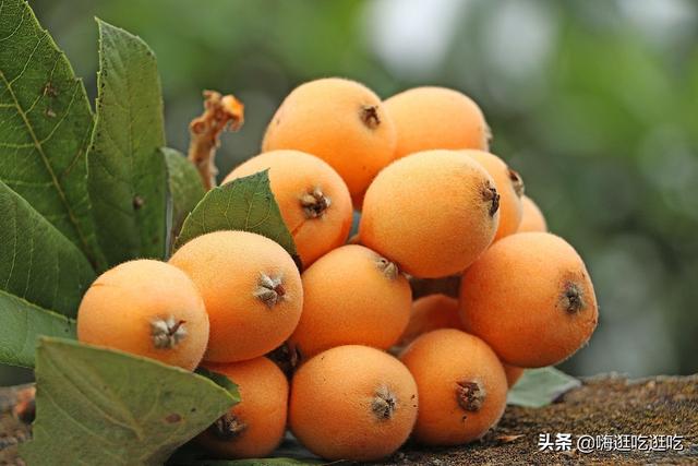 我的互联网故事小学生微视频