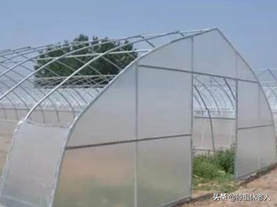 大棚怎么搭建材料好 简易大棚搭建方法大拱棚？