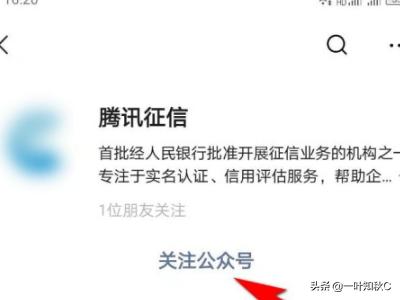 如何查个人征信情况表格图片