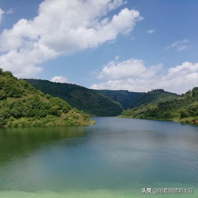 用什么语言开发app