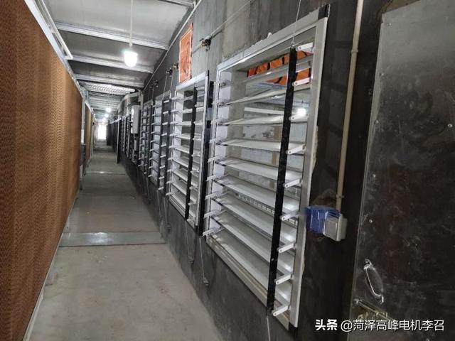 养猪创业 饲料赊账-养猪创业 饲料赊账怎么做账