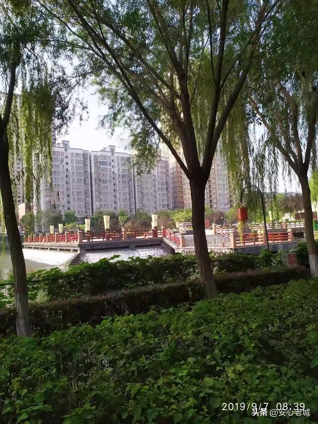 工作迷茫怎么改善一下(图2)