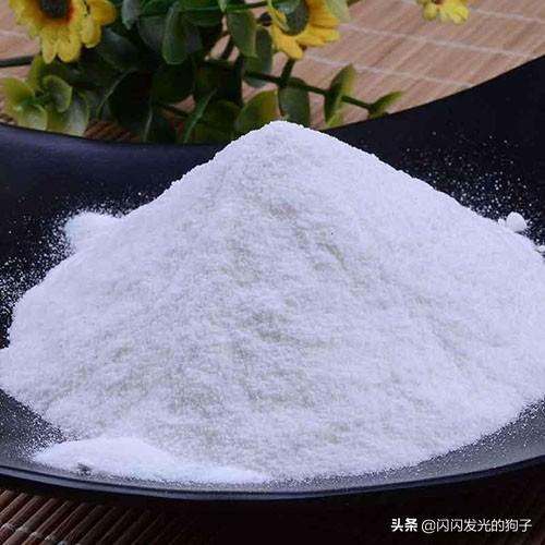 三个月边牧掉毛怎么办,第4张