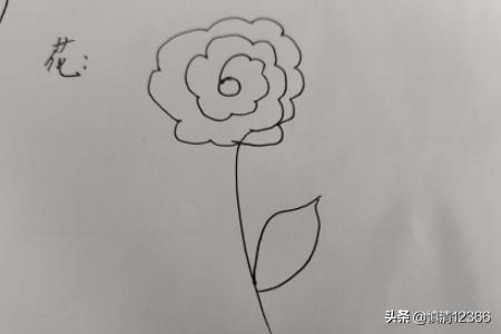 花卉筒笔画?简笔画,花卉!