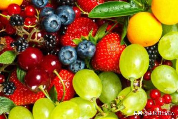 英语g开头单词有哪些水果或食品？：sourl