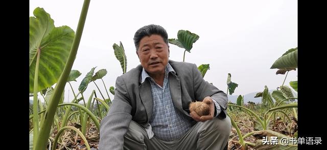 农村白手起家的项目电视剧 一个农村刚毕业的大学生在城市要怎么白手起家？