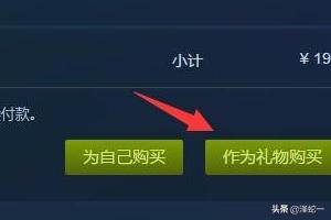 交管12123我交款了为什么显示继续支付？：继续支付
