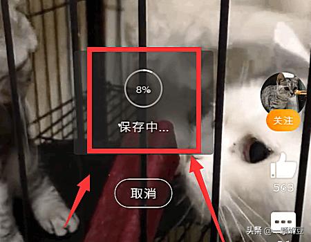 如何下载新浪视频-如何下载新浪视频的视频?