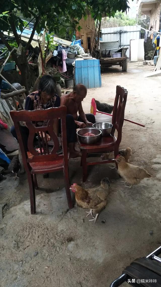 人活一张脸电视剧免费观看，人活一张脸电视剧免费观看全集