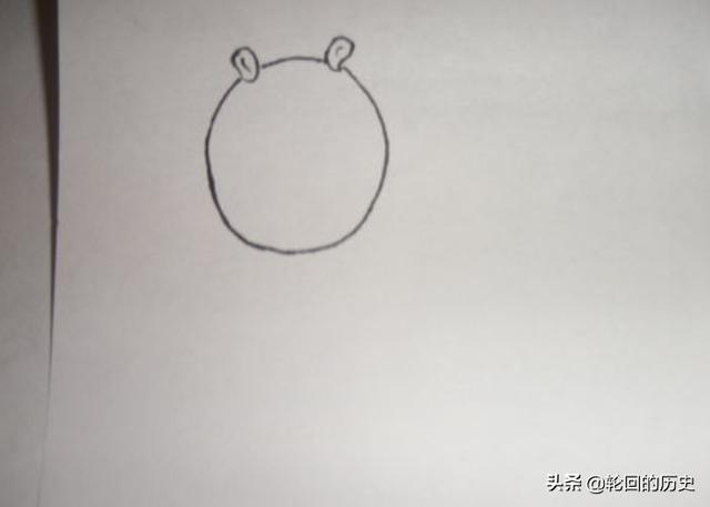 成年熊猫吃竹子怎么画(图7)