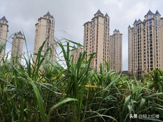 大连湖北旅游城市排名，大连对湖北人免费的旅游景点