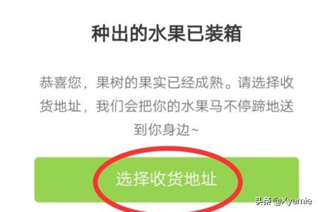 中班丰收的水果教案艺术(图3)