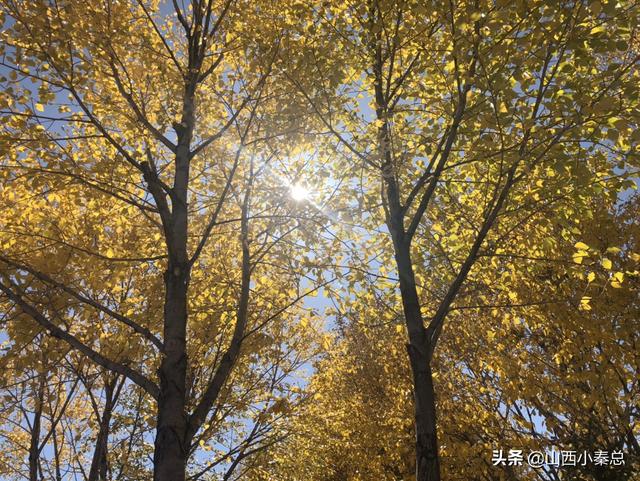 旅游景点大全风光， 旅游景点大全风光图片