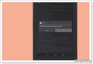 kaliLinux搭建网站