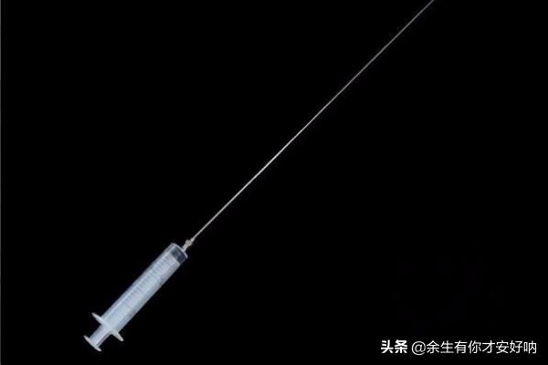 孢子的功效与作用和主治 孢子2-第3张图片-随然AIR主题