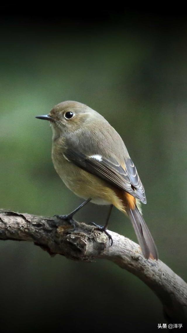 以此激励自己终生惜时如金,发奋图强,做时间的主人,珍爱生命,努力创