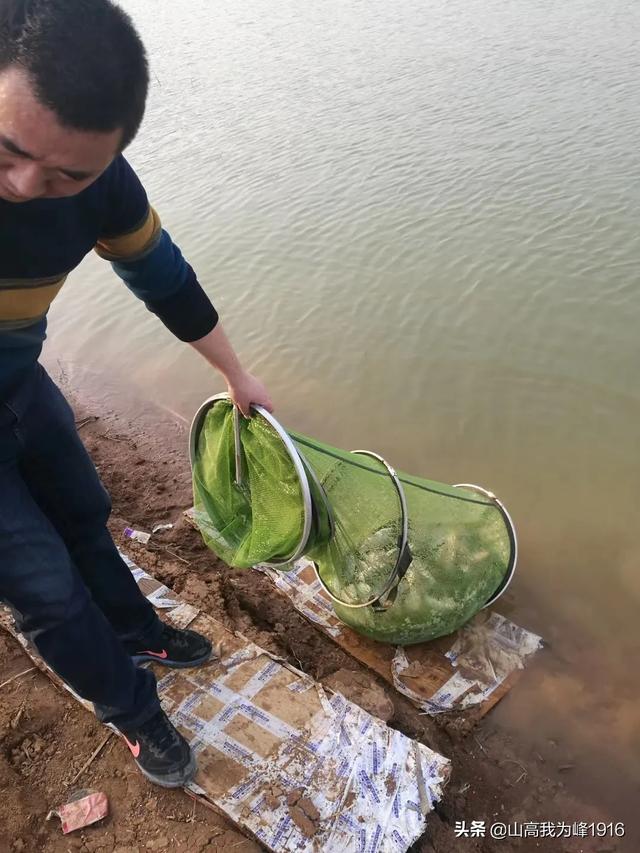 垂钓技术有哪些主要环节?-垂钓技术有哪些主要环节组成