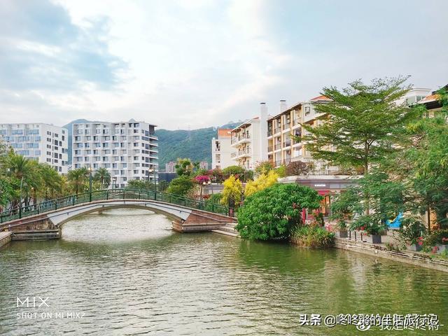 中老年深圳旅游必去景点(图5)