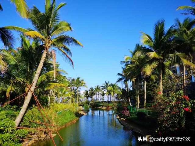 春节国内去哪旅游好-春节国内去哪旅游好玩