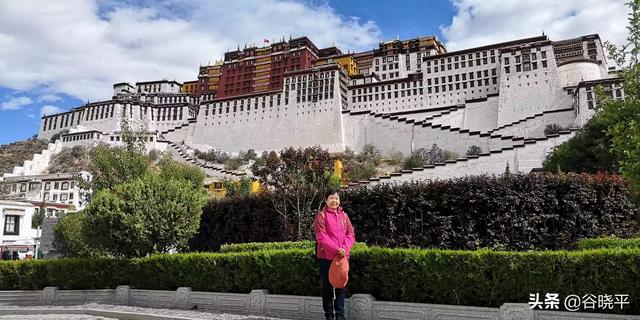 西宁市湟中区纸飞机账号购买服务