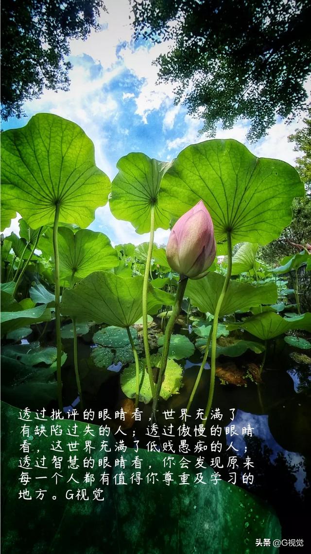海外生活枯燥乏味，海外生活多苦句子