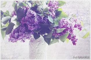 y液香水系统（ky是什么意思？）