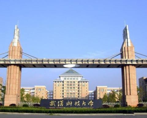 武汉市军校校长什么级别