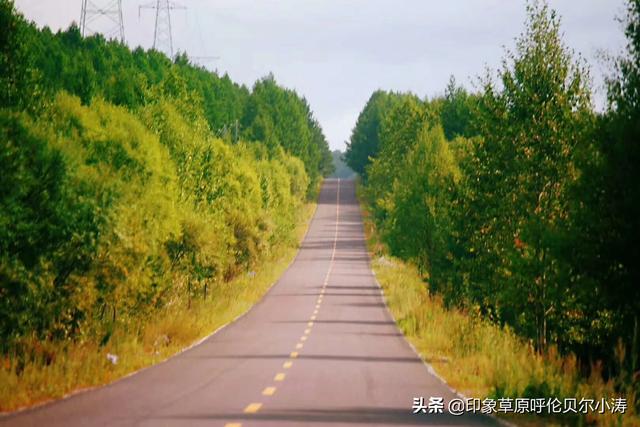 呼伦贝尔大草原景区门票多少钱 国内的