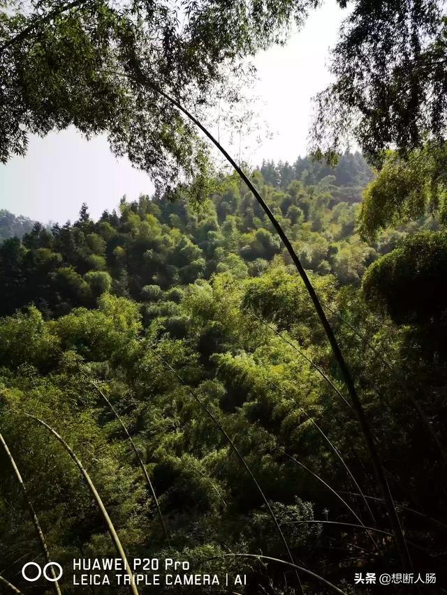 能吃又能玩的旅游景点大全， 能吃能玩的旅游地点