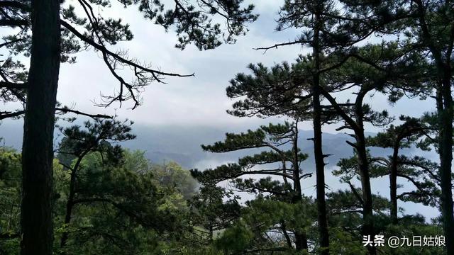 宜昌旅游必去景点免费的(图6)
