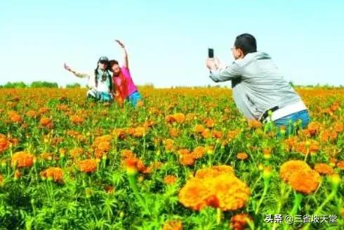 龙泉蔬菜专业合作社规模小，龙泉蔬菜基地