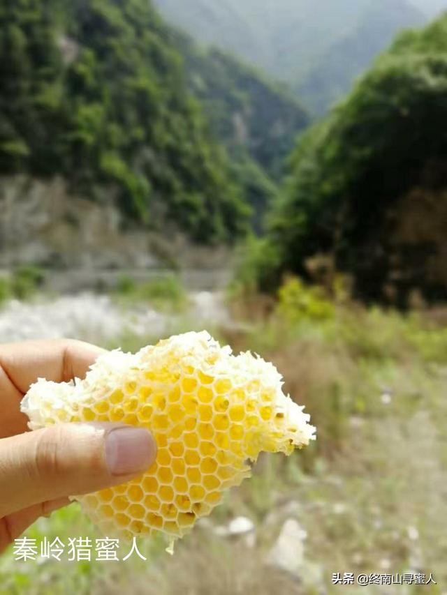 蜂蜜怎么吃效果最好(图2)