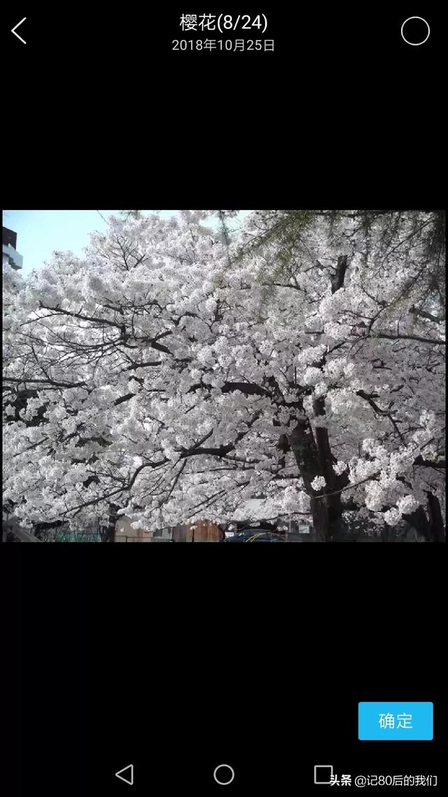 上饶到西塘高铁路线，上饶到石塘