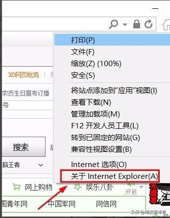 [ie浏览器手机版]手机上能用ie浏览器吗？