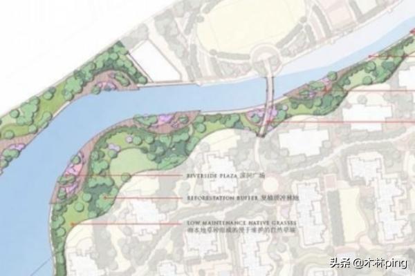 ps怎么添加植物平面？：景观设计ps平面彩图