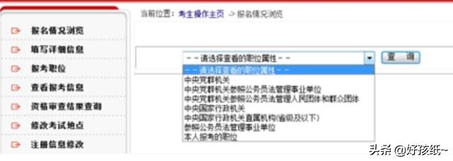 省考报名人数查询，省考报名人数查询系统