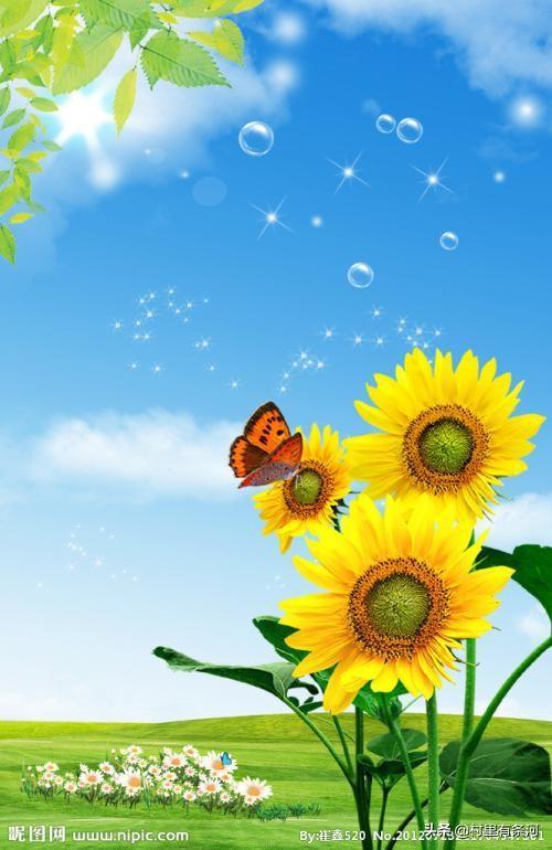 茄子视频懂你更多的话 茄子更加懂你app-第13张图片-随然AIR主题