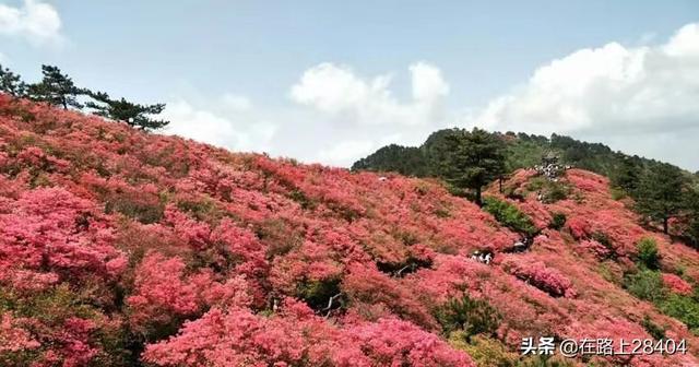 泰顺至永州高铁路线，泰顺至永州高铁路线图
