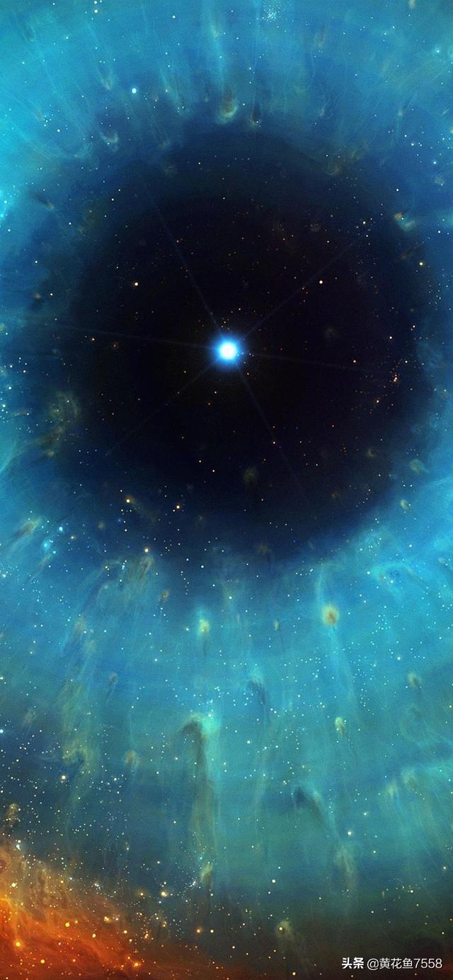 应用试客苹果版 应用试客-第2张图片-Game优搜