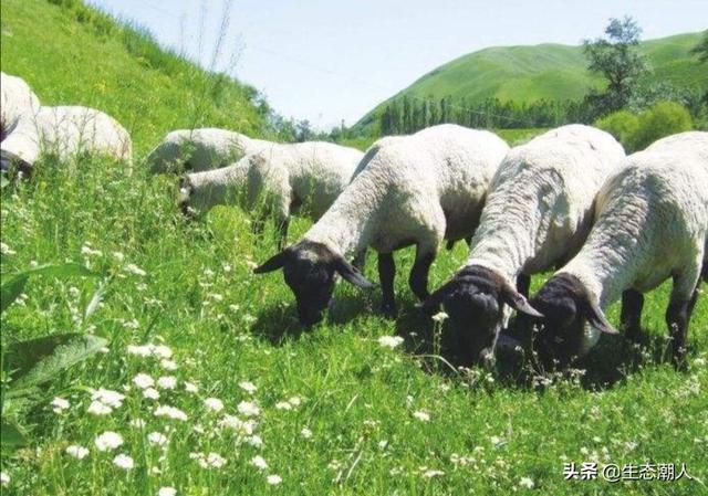 与时俱进，宁波国家税务局推行数字化税务管理，数字化 税务