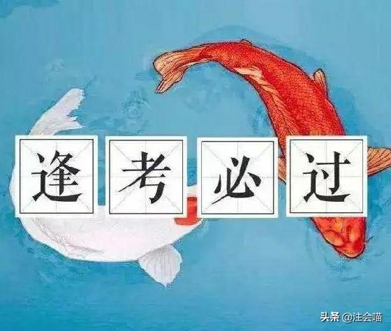 税务师考试时长：如何合理规划备考进度，税务师考试备考计划