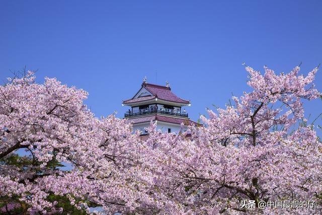 乾县特色景点介绍图片，乾县特色景点介绍图片大全