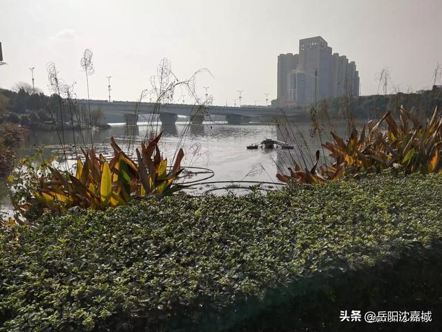 岳阳花语世界景点门票价格， 岳阳花语世界景点门票价格表