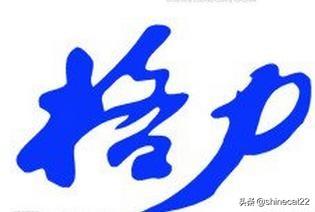 中国人寿最大股东是谁，中国人寿最大股东是谁,控股多少