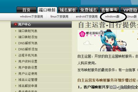 nat服务器搭建网站