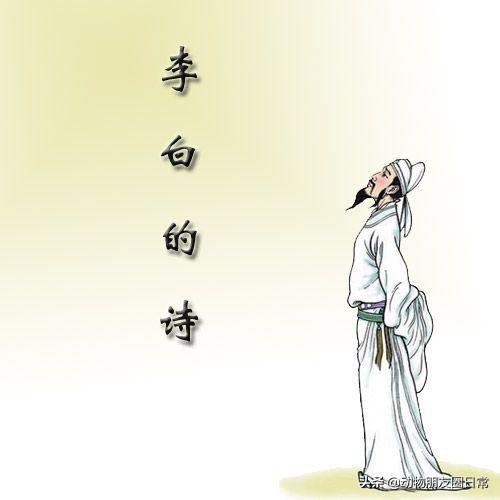 山随平野尽江入大荒流赏析100字