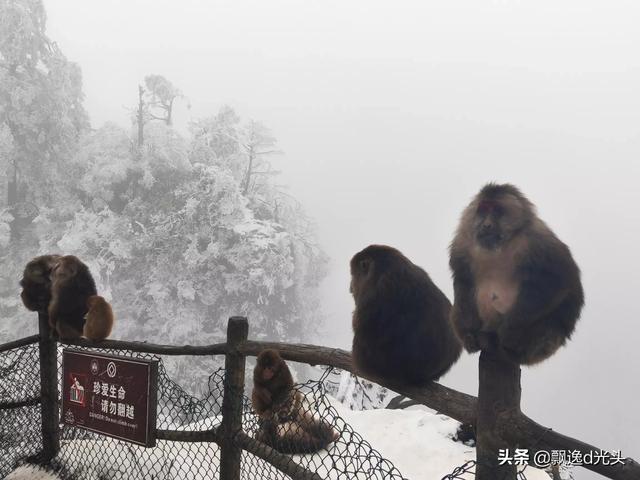 [峨眉山伏虎寺]峨眉山各景点介绍？