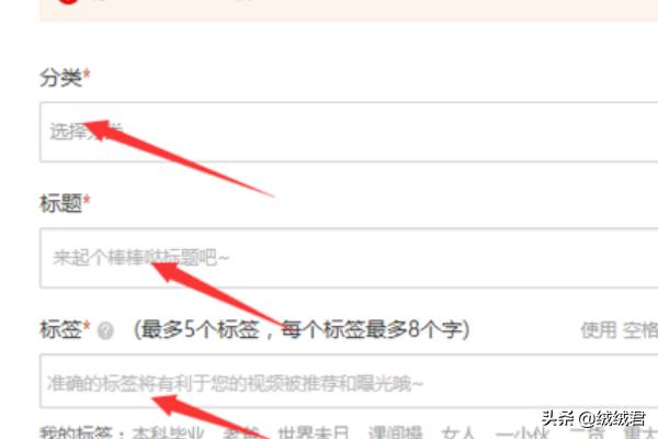 搭建网站怎么发视频赚钱