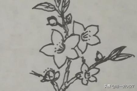 春天的花卉简笔? 春天的花卉简笔画!