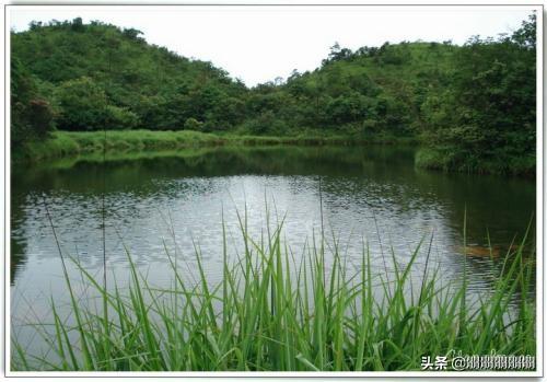 城市湖泊水质怎么改善(图3)